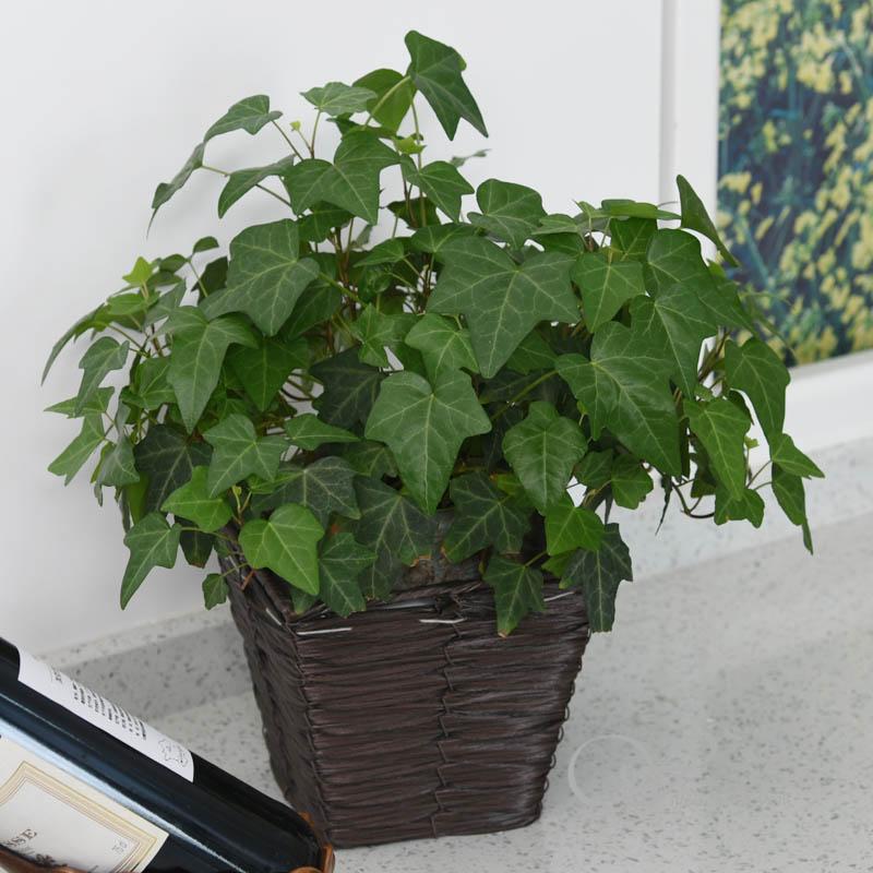 柳風(fēng)收納，客廳收納柳編筐