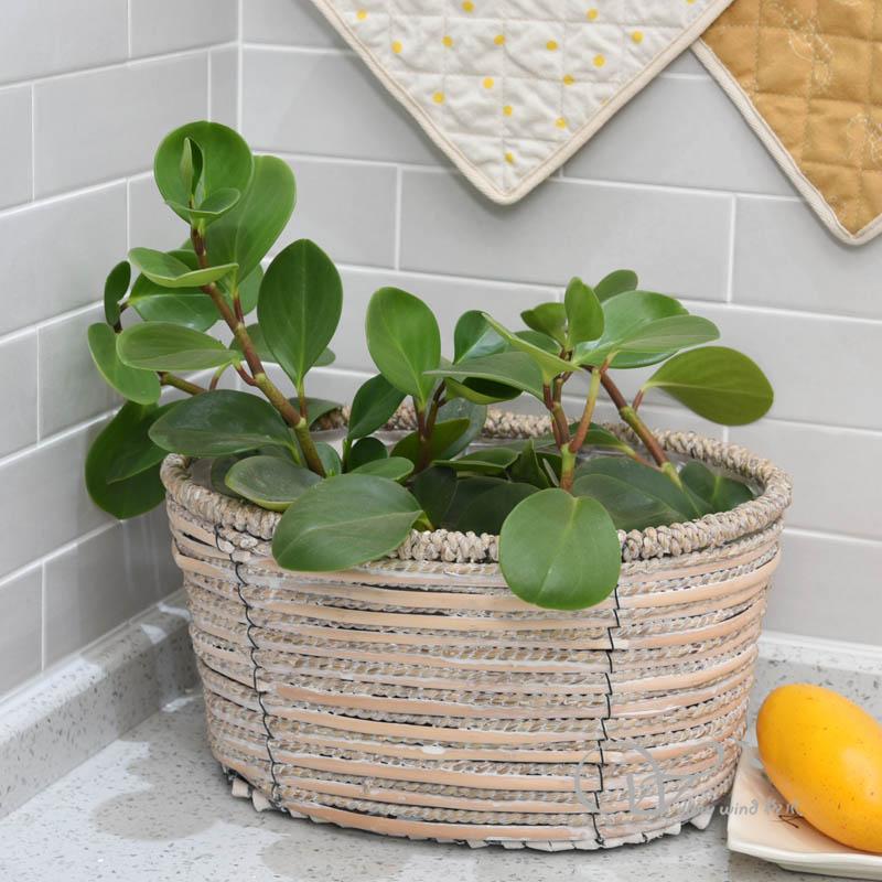 柳風(fēng)收納，客廳收納柳編筐