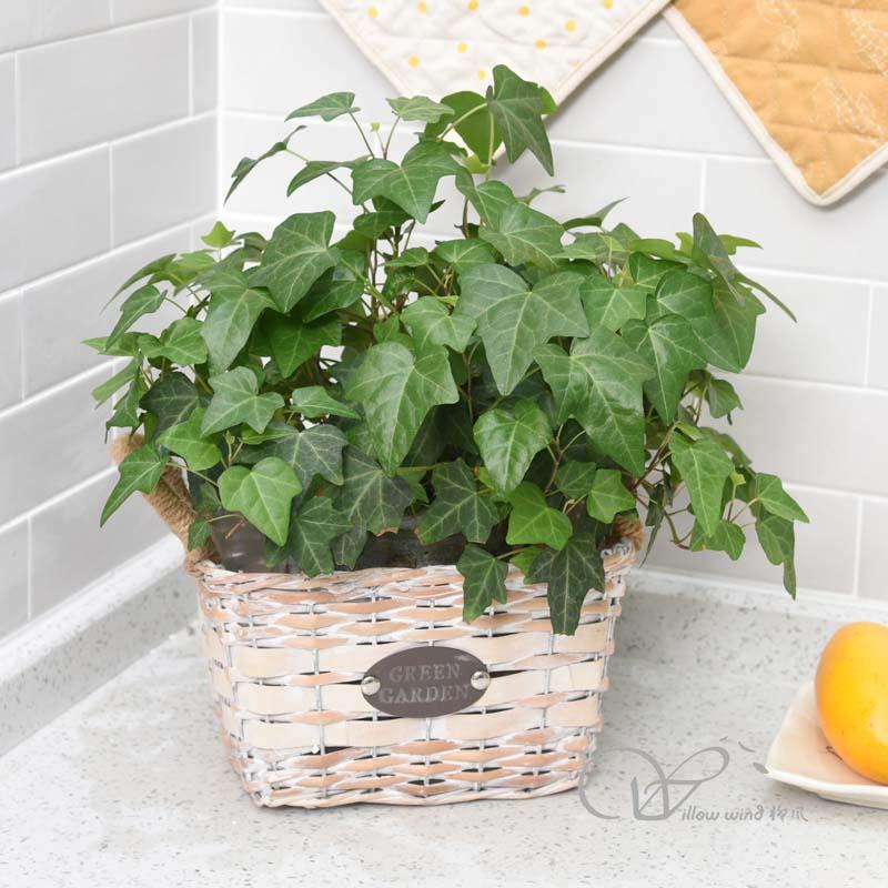 柳風(fēng)收納，客廳收納柳編筐