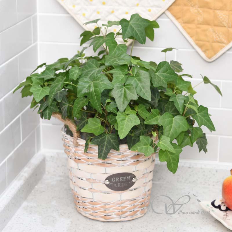 柳風(fēng)收納，客廳收納柳編筐