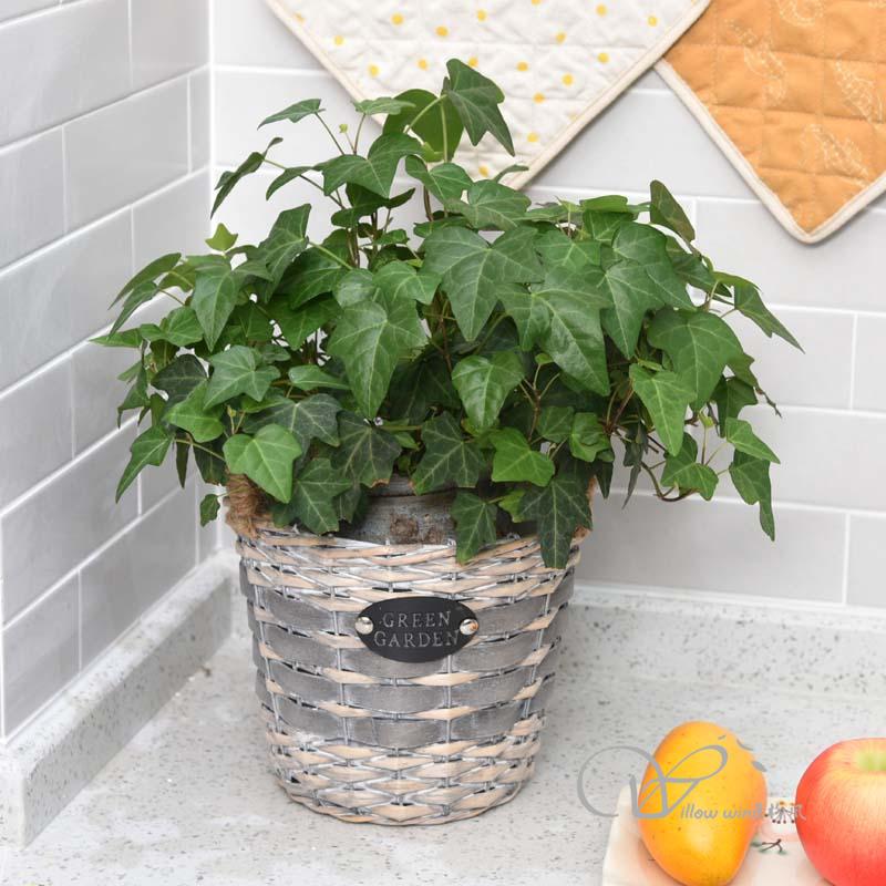 柳風(fēng)收納，客廳收納柳編筐