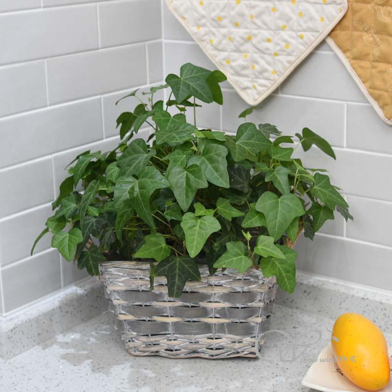 柳風(fēng)收納，客廳收納柳編筐