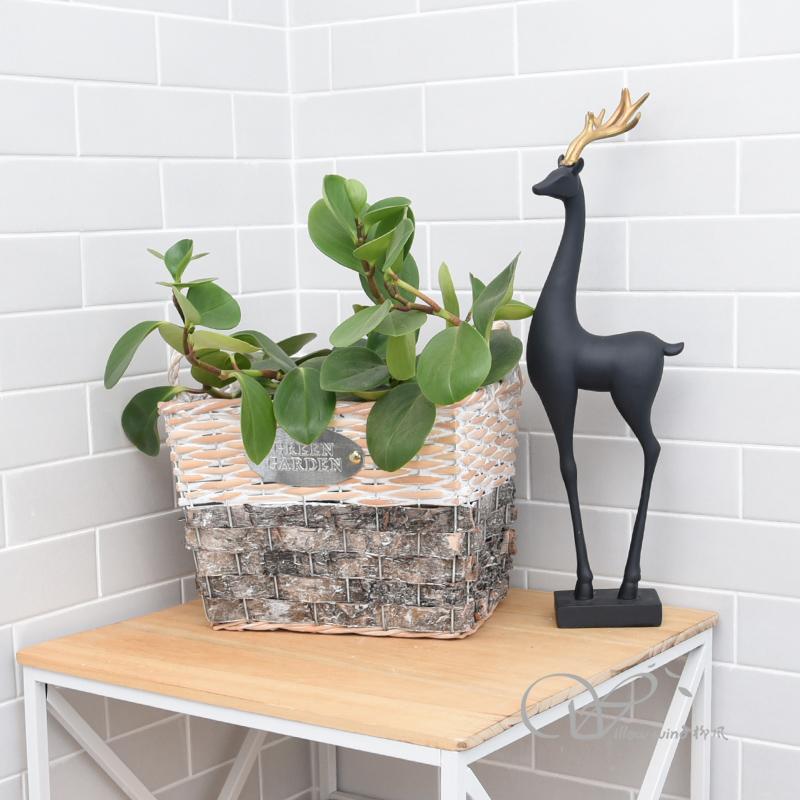 柳風(fēng)收納，客廳收納柳編筐